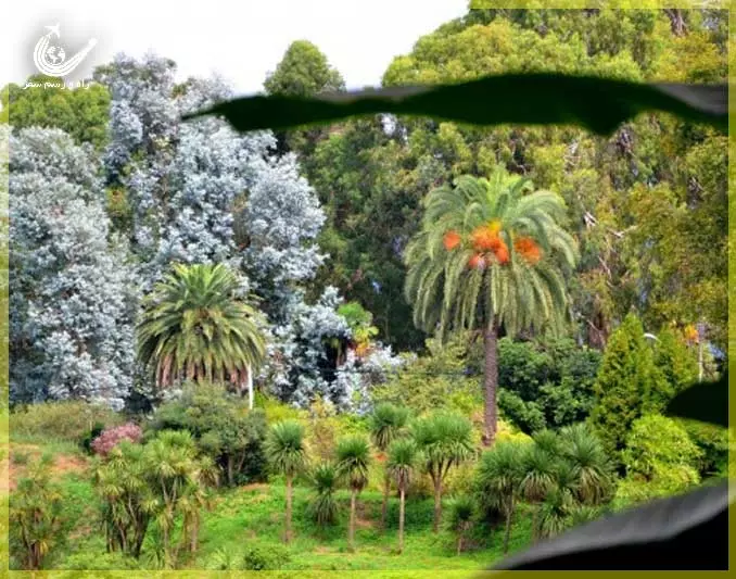 Batumi-Botanical-Garden-1