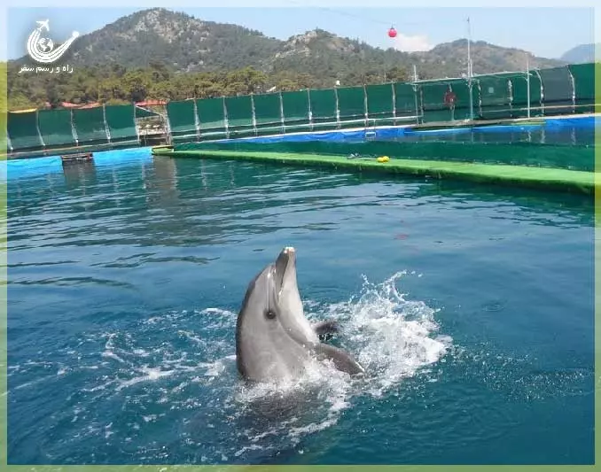 DolphinPark-Marmaris-2