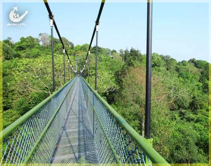 MacRitchie-Reservoir-1