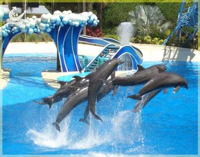 Sealanya-Dolphinpark-Seapark-1
