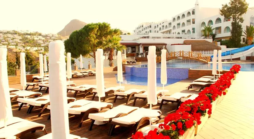 ff5bf3cd-0c2d-4645-b261-7849a733bf27