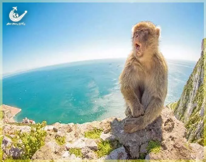 monkey-beach-penang-1