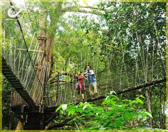 penang-national-park-3