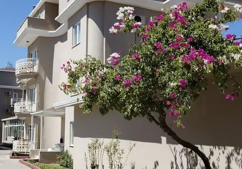 sembo-242272-94b37139_z.jpg_resizeMode=FitInside_formatSettings=jpeg(quality-90)-791776