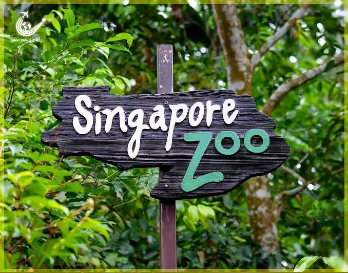 singapore-zoo-1
