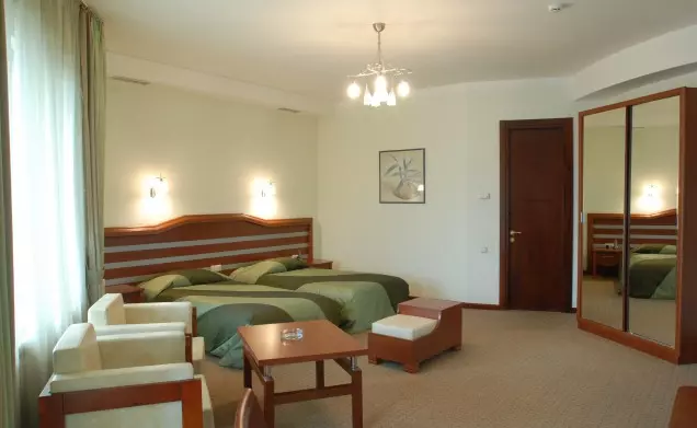 vedzisi541161fe5c88b